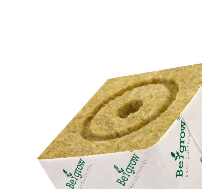 Begrow CUBE